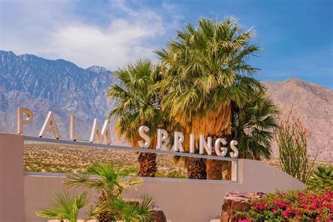 palm springs extratorrent|18 Top.